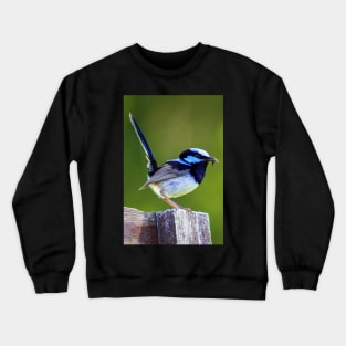 Australian Superb Fairy-Wren Crewneck Sweatshirt